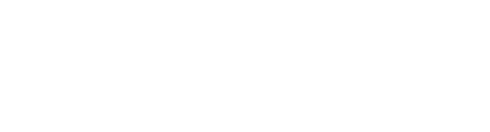 BRANKS
